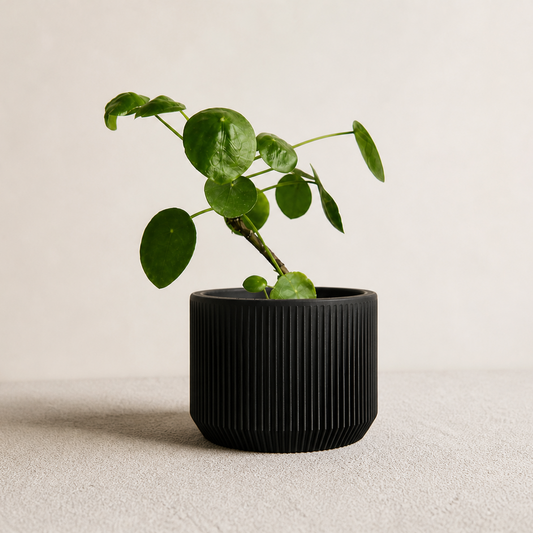 Ribbed Wooden Planter L — Black